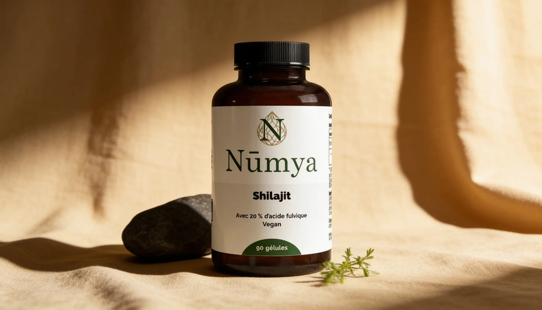 Shilajit : qu'est-ce que c'est et comment le choisir Nūmya