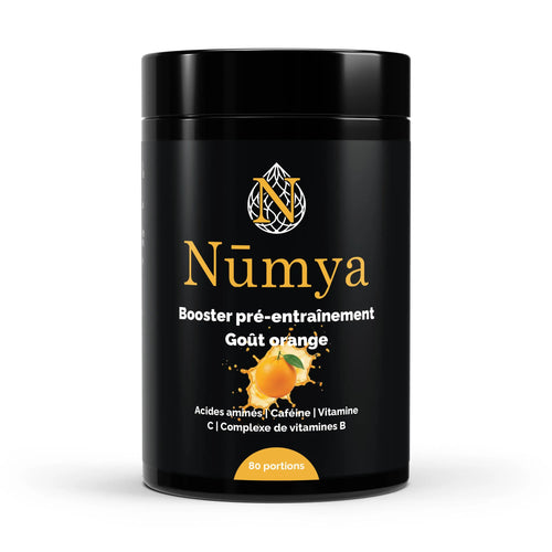 Booster Pré-Entraînement Orange - 520 g ChanceToBrand