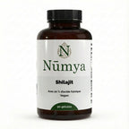 Shilajit (20% Acide Fulvique) - 90 Gélules Véganes ChanceToBrand