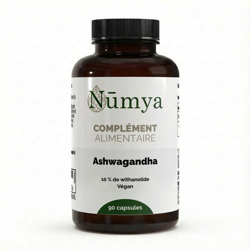 Ashwagandha (10% Withanolides) - 90 gélules vegan ChanceToBrand