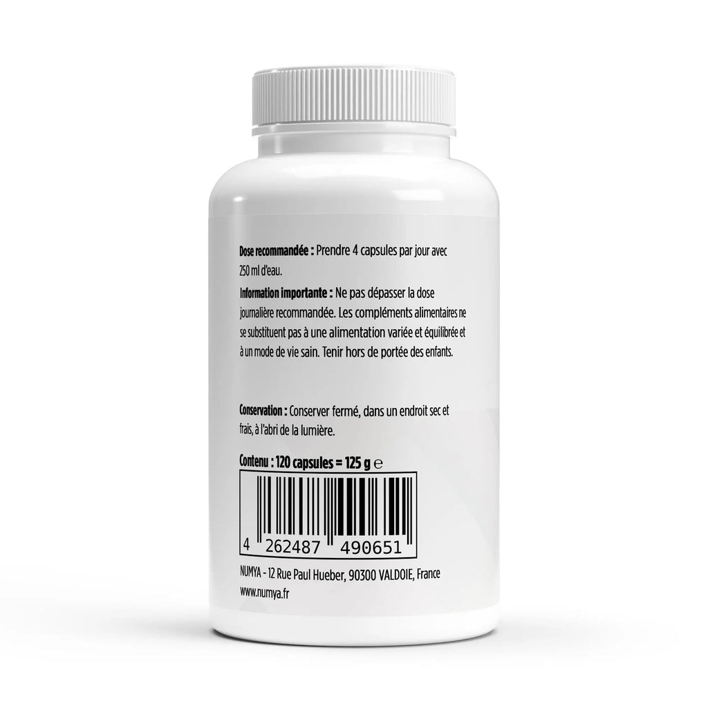 Bicarbonate de Soude Gastrorésistant - 120 gélules ChanceToBrand