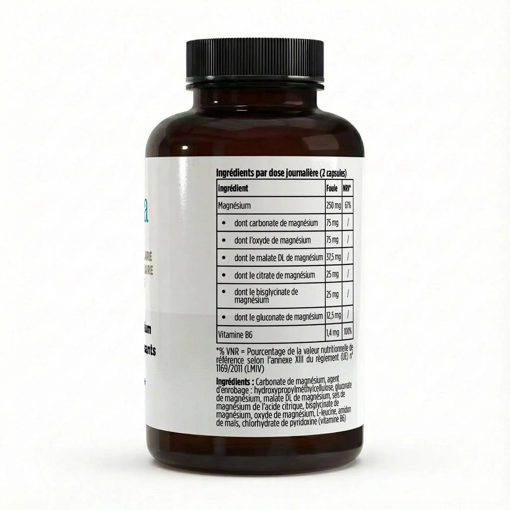 Magnésium Complexe 6x + B6 - 120 gélules vegan ChanceToBrand