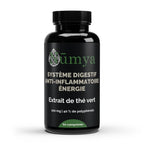 Extrait de Thé Vert 40% Polyphenôles - 60 gélules ChanceToBrand