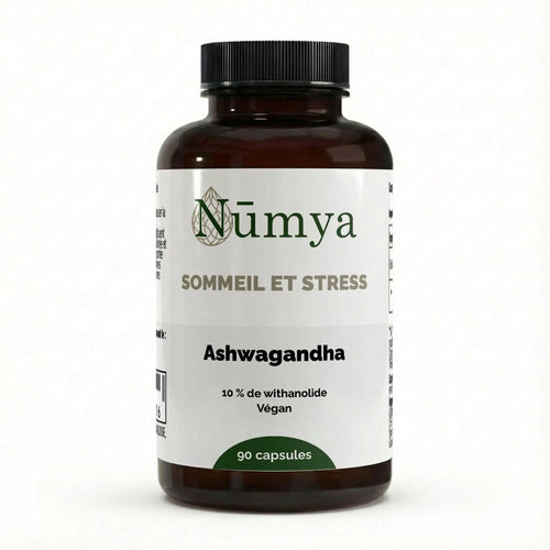 Ashwagandha (10% Withanolides) - 90 gélules vegan ChanceToBrand