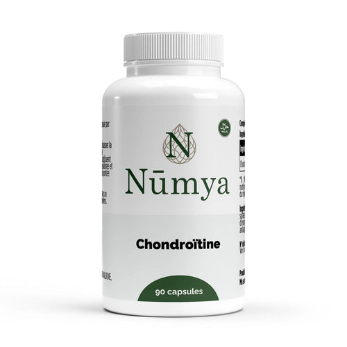 Chondroitin 500 mg - 90 Kapseln ChanceToBrand