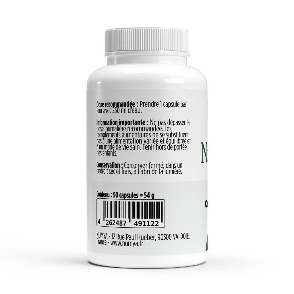 Chondroitin 500 mg - 90 Kapseln ChanceToBrand