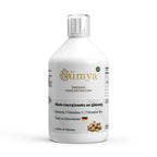 Ginseng Power Plus+ - 33 Shots - 500 ml ChanceToBrand