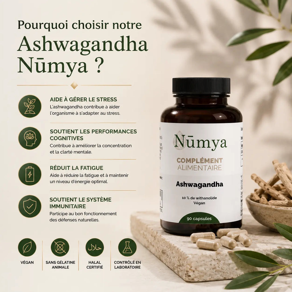 Ashwagandha (10% Withanolides) - 90 gélules vegan ChanceToBrand