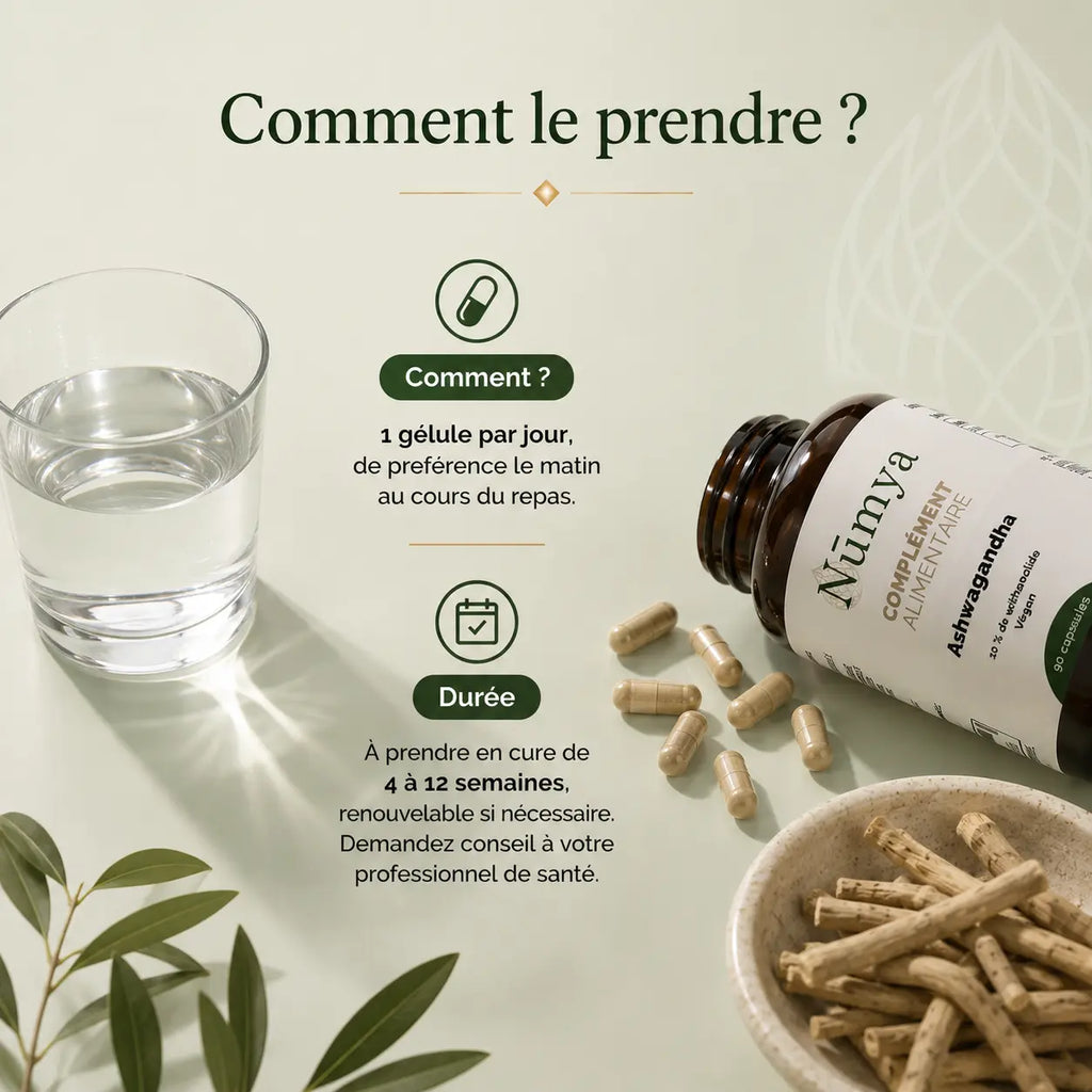 Ashwagandha (10% Withanolides) - 90 gélules vegan ChanceToBrand