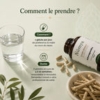 Ashwagandha (10% Withanolides) - 90 gélules vegan ChanceToBrand