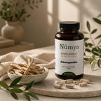 Ashwagandha (10% Withanolides) - 90 gélules vegan ChanceToBrand