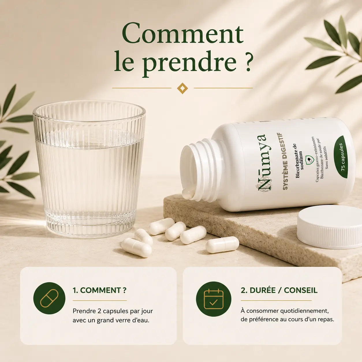 Bicarbonate de Soude Gastrorésistant - 120 gélules ChanceToBrand