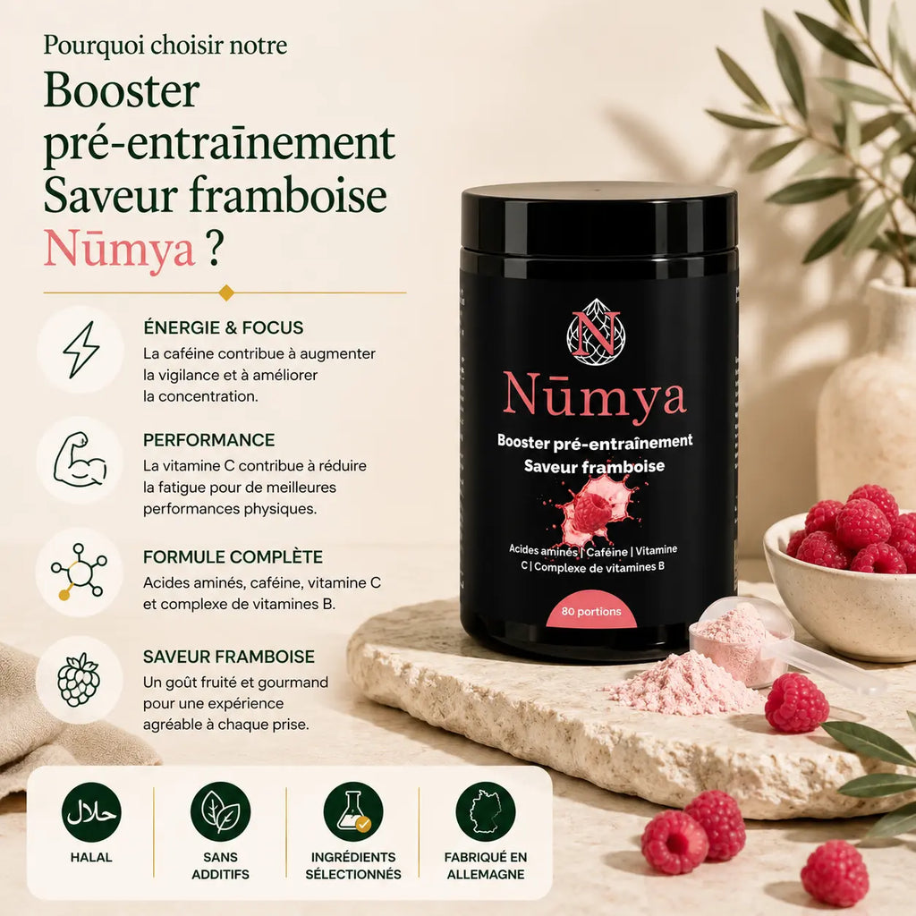 Booster Pré-Entraînement Framboise - 520 g ChanceToBrand