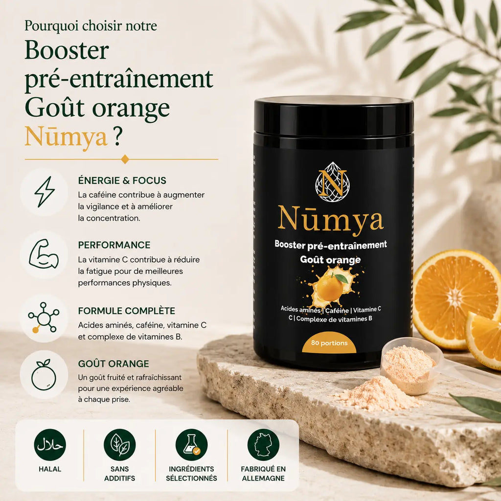 Booster Pré-Entraînement Orange - 520 g ChanceToBrand