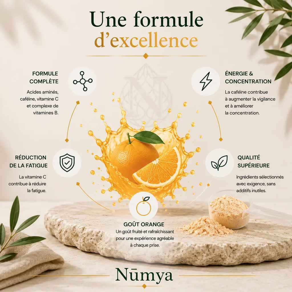 Booster Pré-Entraînement Orange - 520 g ChanceToBrand