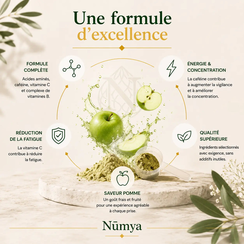 Booster Pré-Entraînement Pomme - 520 g ChanceToBrand