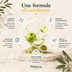 Booster Pré-Entraînement Pomme - 520 g ChanceToBrand