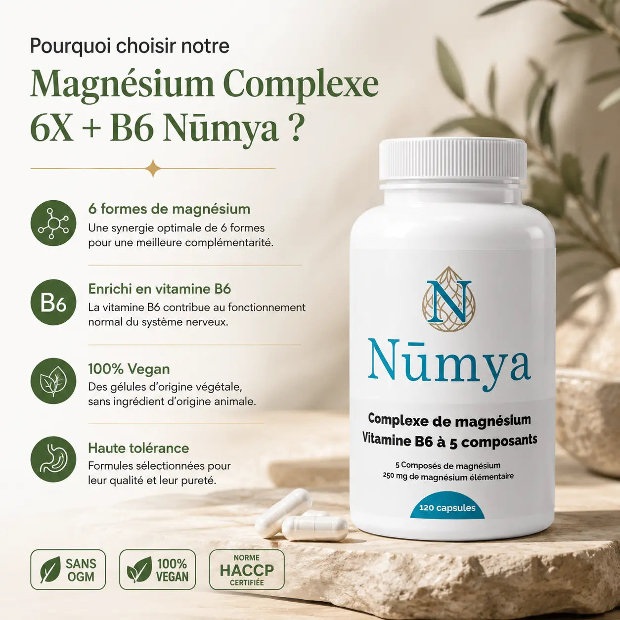 Magnésium Complexe 5x + B6 - 120 gélules vegan Nūmya