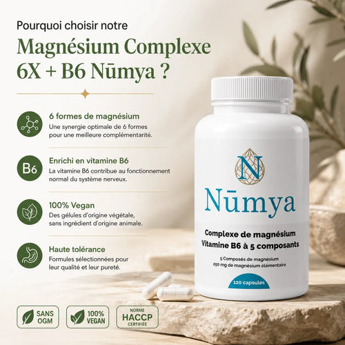 Magnésium Complexe 5x + B6 - 120 gélules vegan Nūmya
