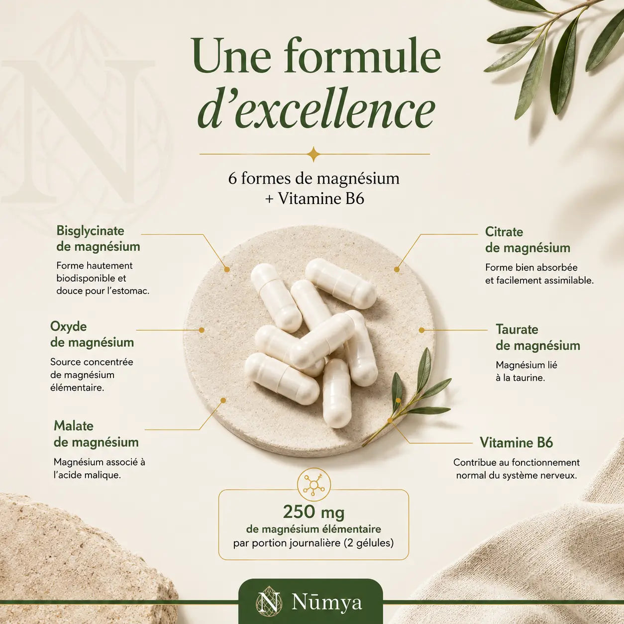 Magnésium Complexe 5x + B6 - 120 gélules vegan Nūmya