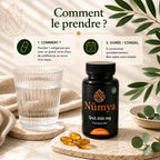 Coenzyme Q10 200 mg - 60 Softgels Certifié Halal ChanceToBrand