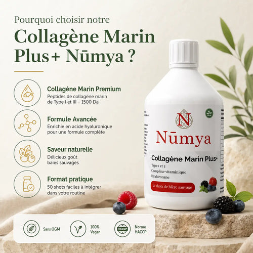 Collagène Marin Plus - 50 Shots - Baies Sauvages - 500 ml Nūmya