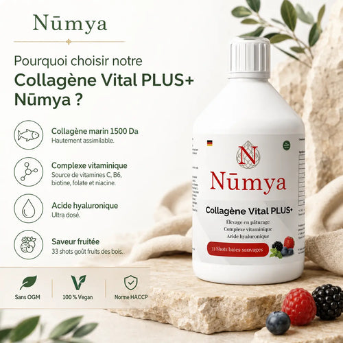 Collagène Vital PLUS+ - 33 Shots - Fruits des Bois - 500 ml Nūmya