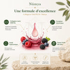 Collagène Vital PLUS+ - 33 Shots - Fruits des Bois - 500 ml Nūmya