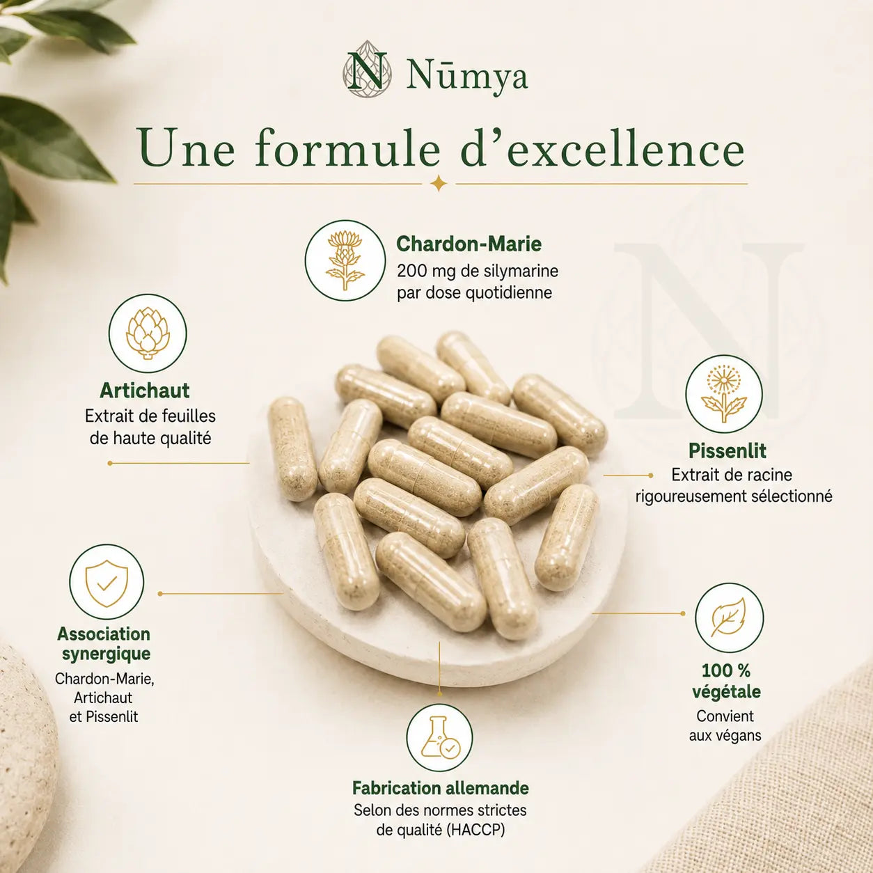 Complexe Chardon-Marie Artichaut Pissenlit - 120 gélules Nūmya