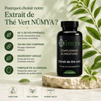 Extrait de Thé Vert 40% Polyphénols - 60 gélules ChanceToBrand