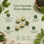 Extrait de Thé Vert 40% Polyphénols - 60 gélules ChanceToBrand