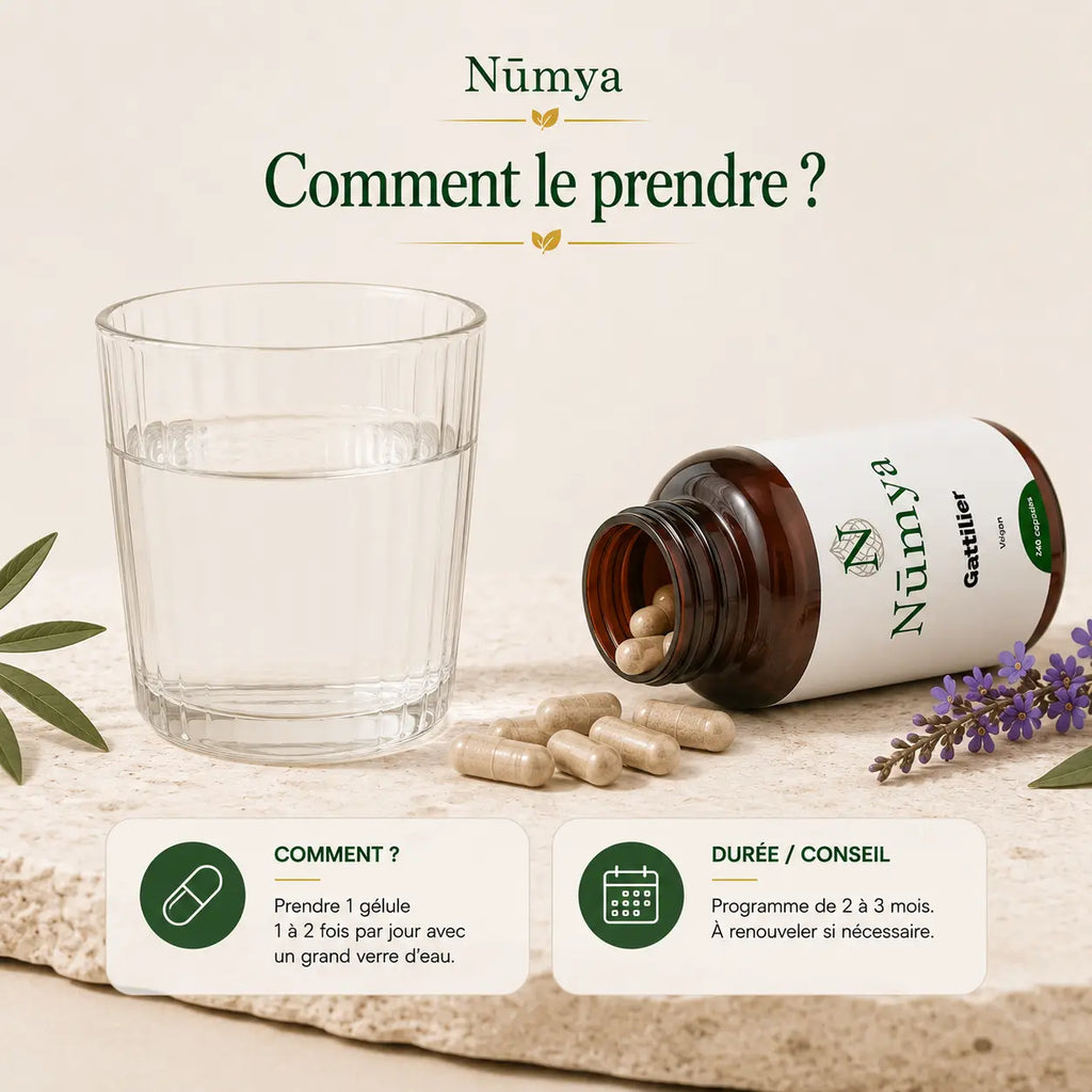 Gattilier - 240 Gélules Véganes Nūmya