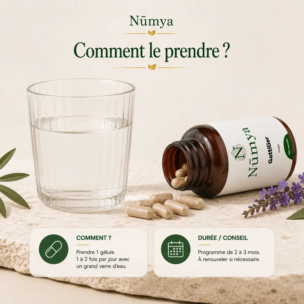 Gattilier - 240 Gélules Véganes Nūmya