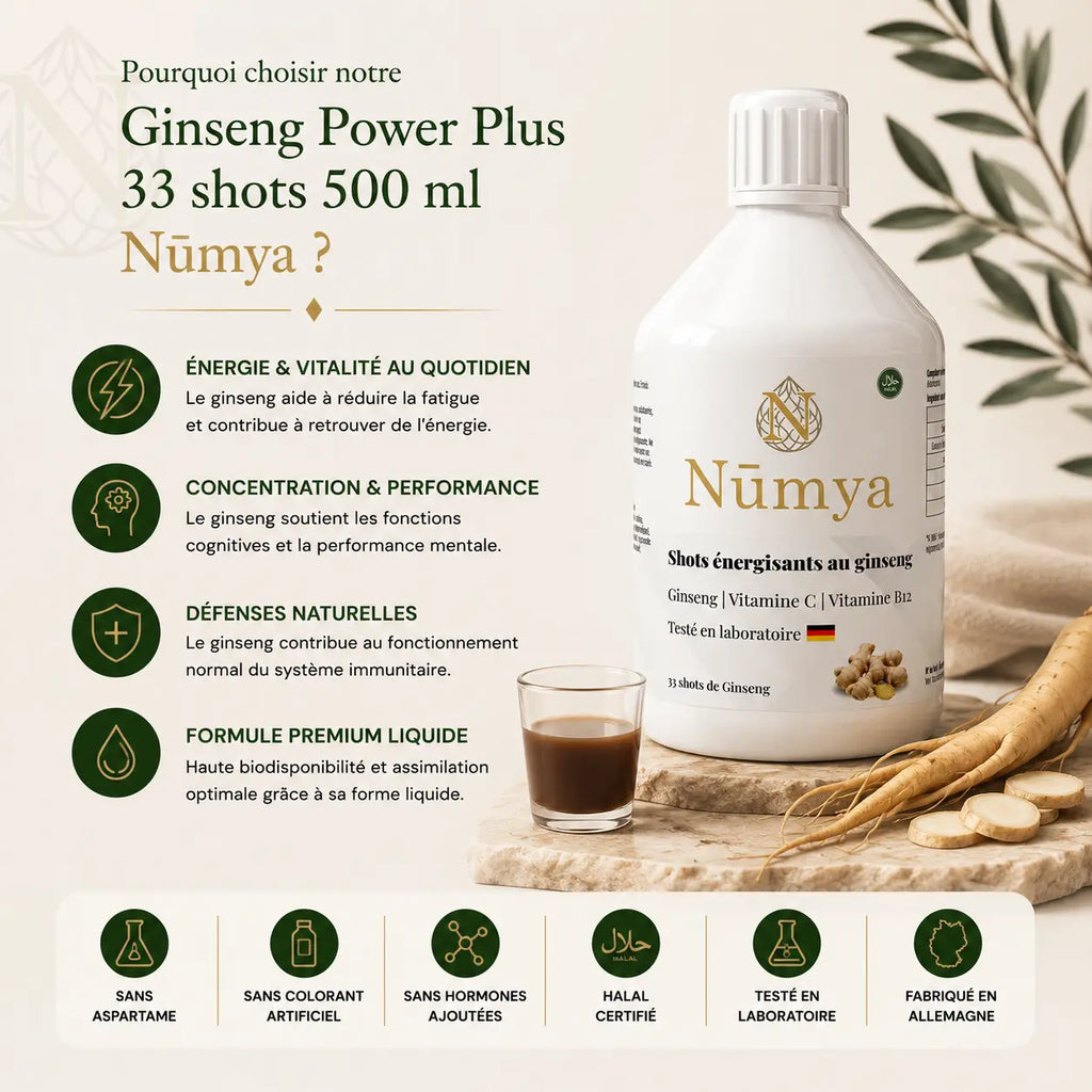 Ginseng Power Plus+ - 33 Shots - 500 ml ChanceToBrand