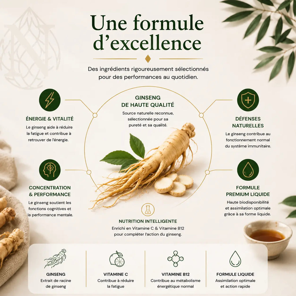 Ginseng Power Plus+ - 33 Shots - 500 ml ChanceToBrand
