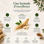 Ginseng Power Plus+ - 33 Shots - 500 ml ChanceToBrand