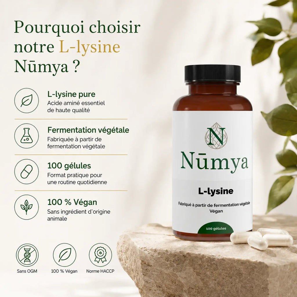 L-Lysine - 100 gélules Nūmya