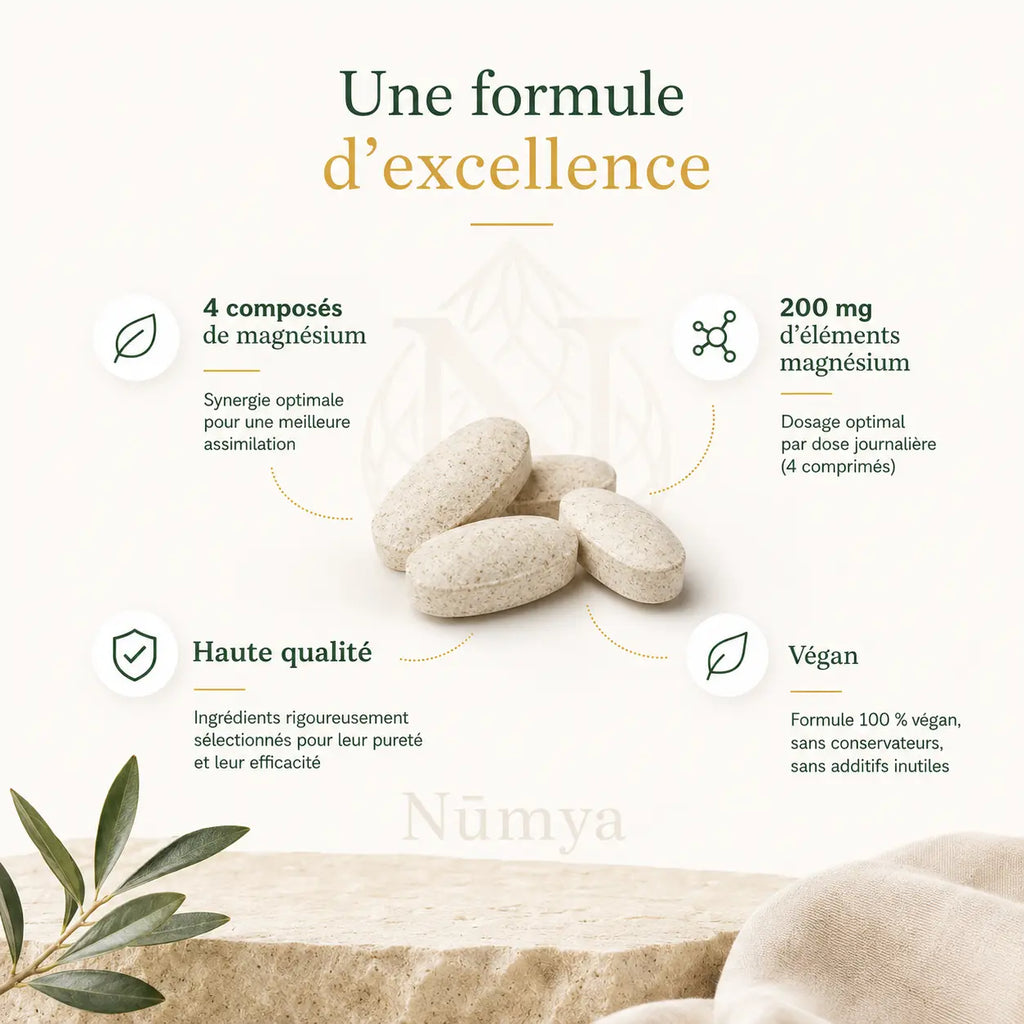 Magnésium Complexe 4x - 60 comprimés vegan ChanceToBrand