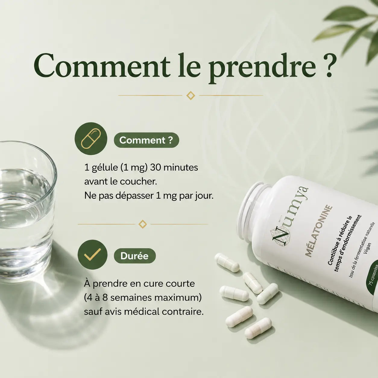 Mélatonine - 75 gélules ChanceToBrand