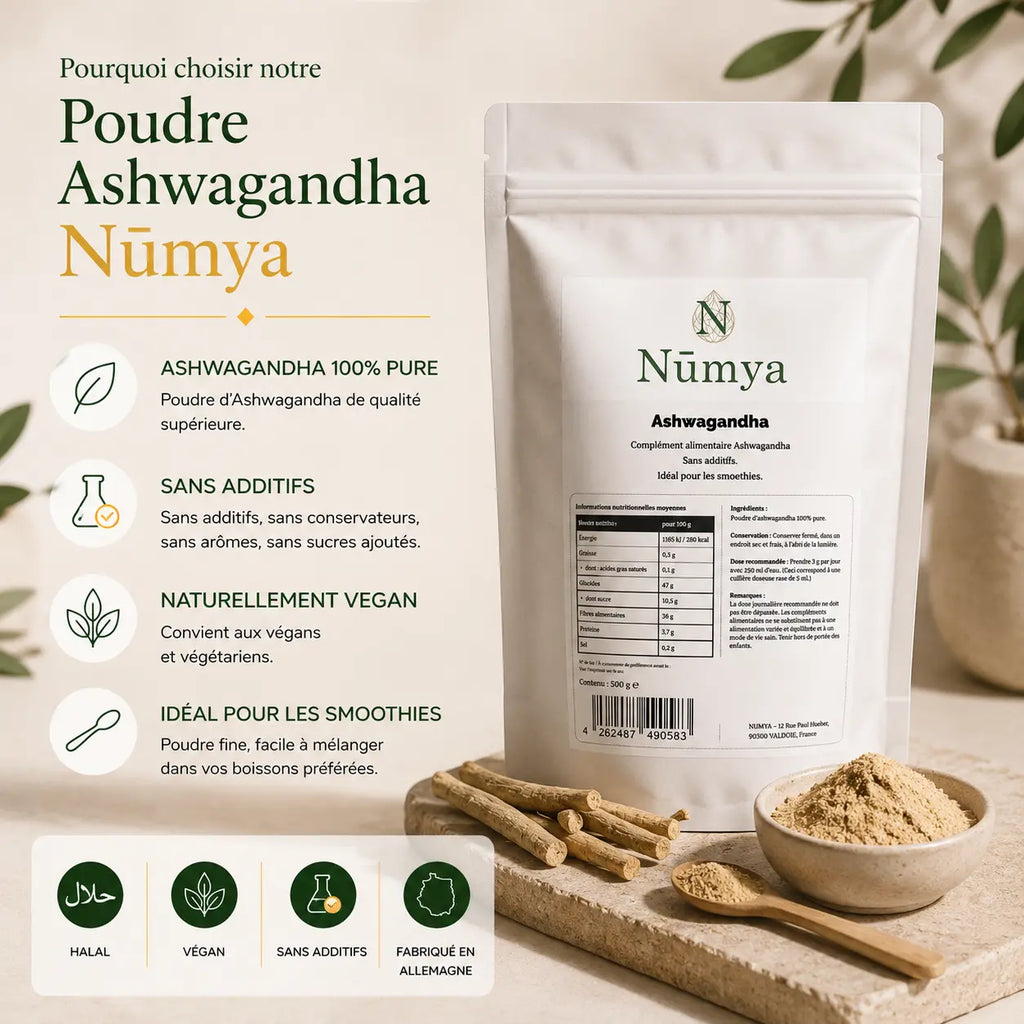 Poudre Ashwagandha - 500 g Doypack ChanceToBrand