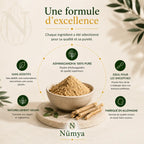 Poudre Ashwagandha - 500 g Doypack ChanceToBrand