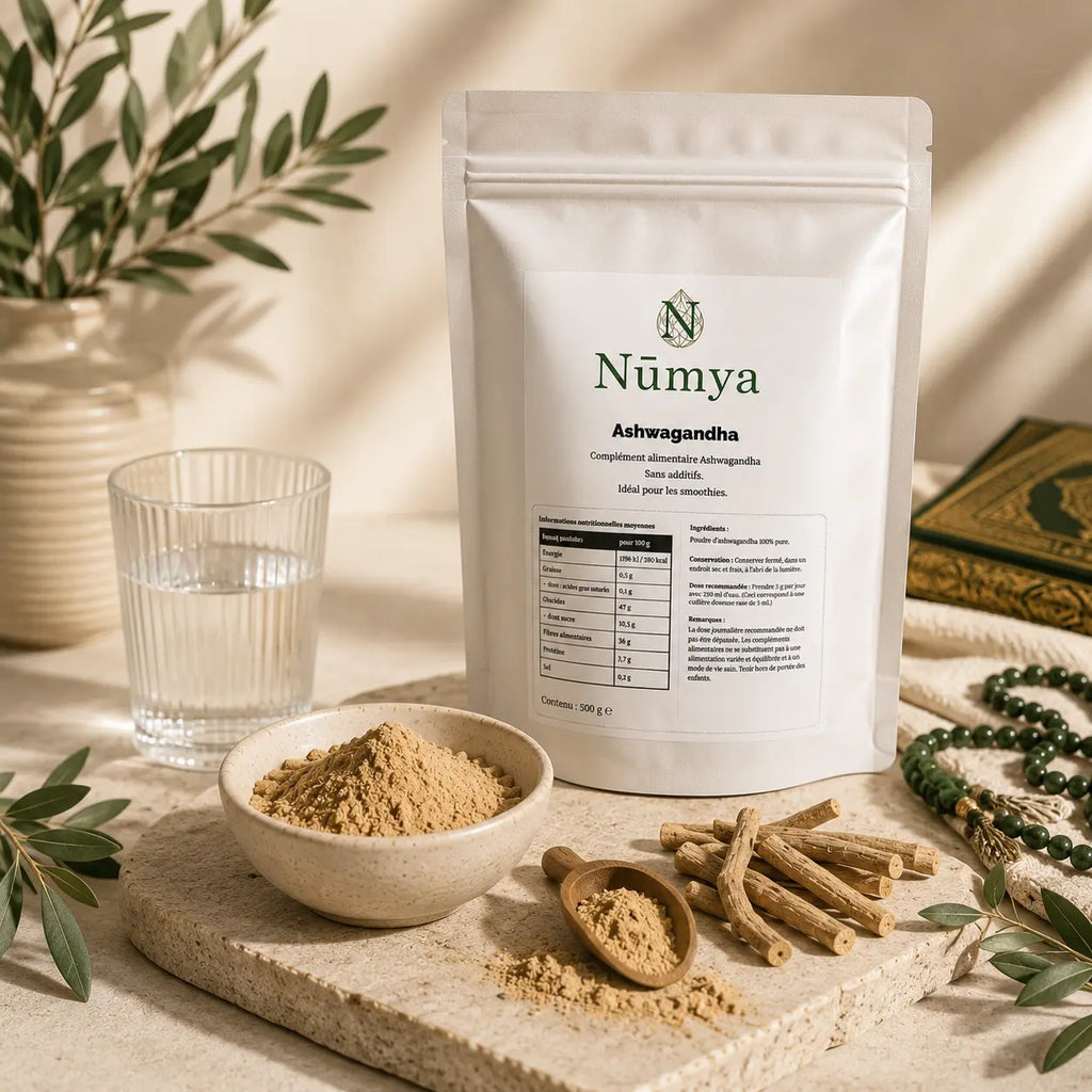 Poudre Ashwagandha - 500 g Doypack ChanceToBrand