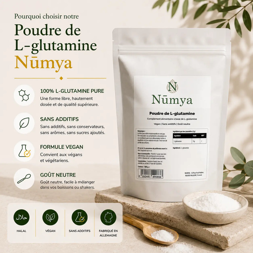 Poudre de L-Glutamine Doypack - 500 g ChanceToBrand