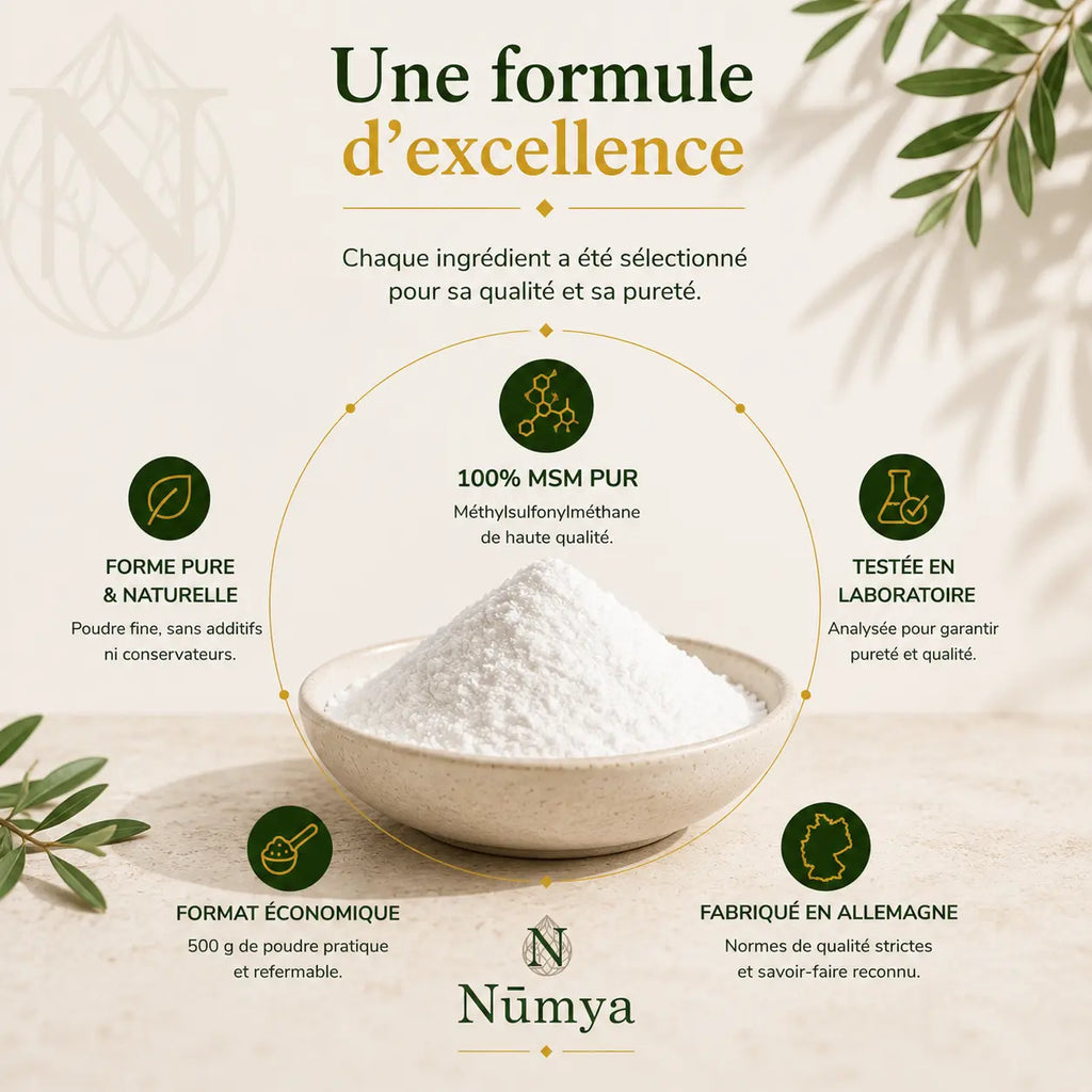 Poudre de MSM - 500 g ChanceToBrand