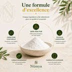 Poudre de MSM - 500 g ChanceToBrand