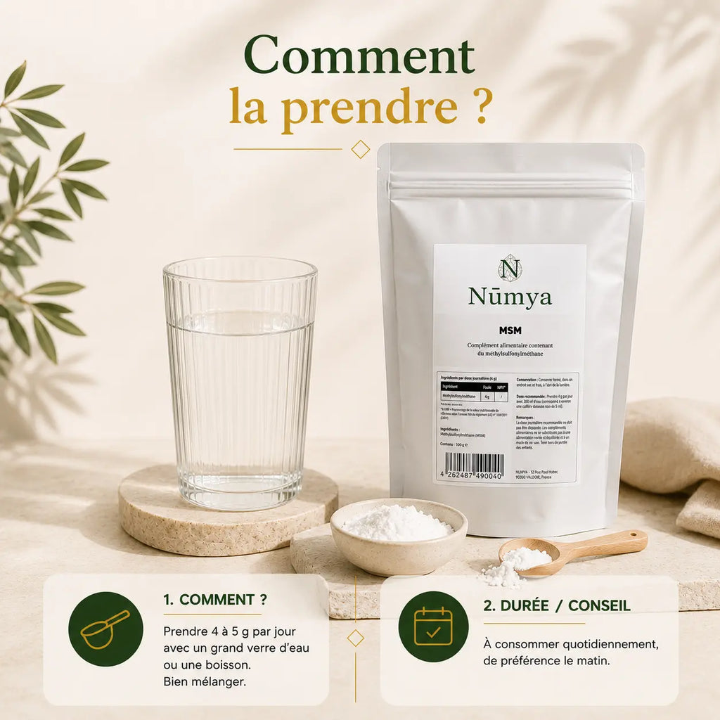 Poudre de MSM - 500 g ChanceToBrand