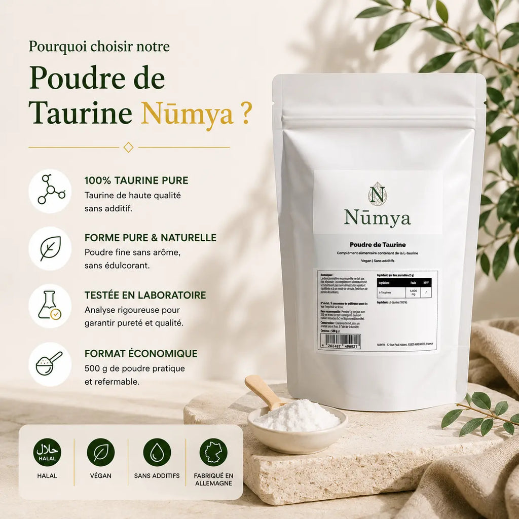 Poudre de Taurine - 500 g Doypack ChanceToBrand