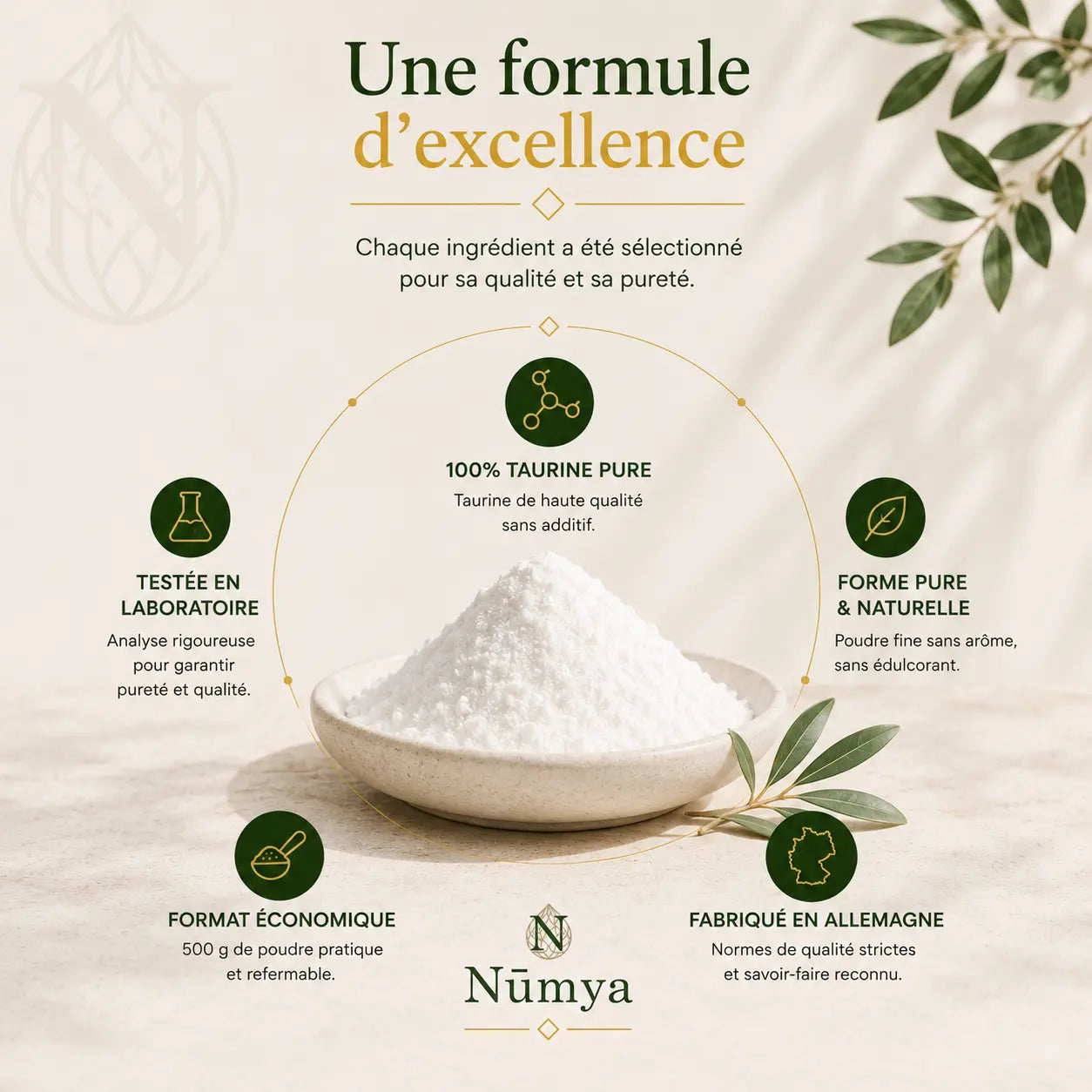 Poudre de Taurine - 500 g Doypack ChanceToBrand
