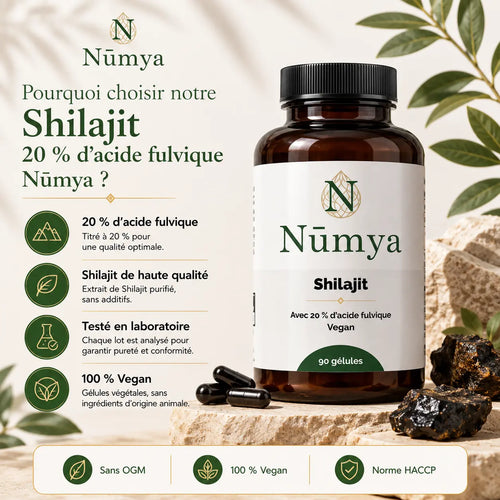 Shilajit (20% Acide Fulvique) - 90 Gélules Véganes Nūmya
