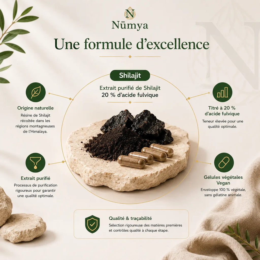 Shilajit (20% Acide Fulvique) - 90 Gélules Véganes Nūmya